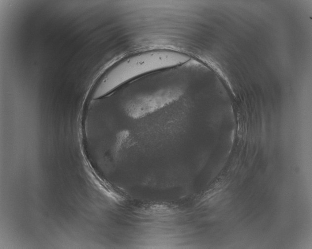 X0000073410390200608041004