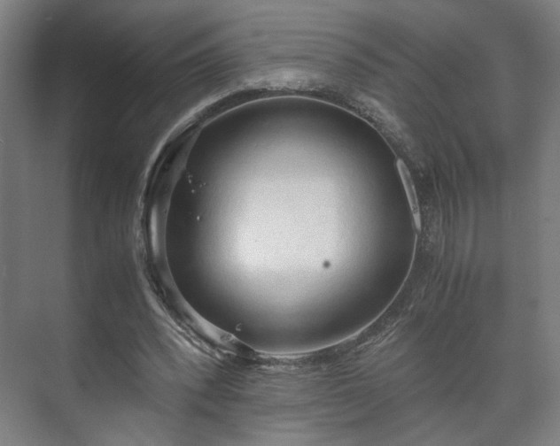 X0000073410392200608041004