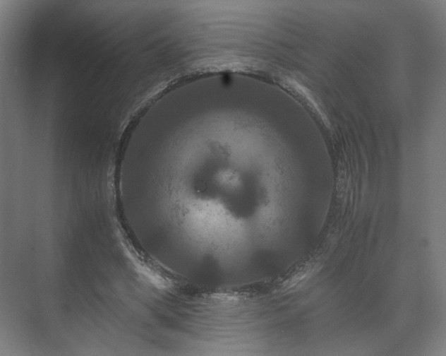 X0000073410394200608041004