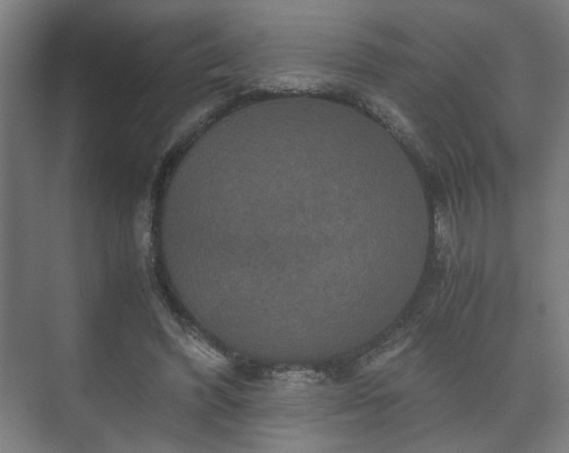 X0000073410396200608041004