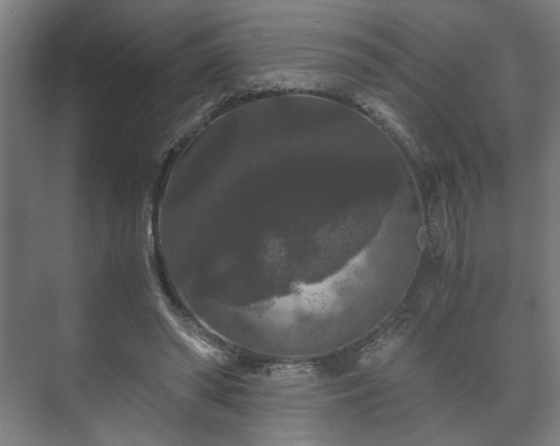 X0000073410398200608041004