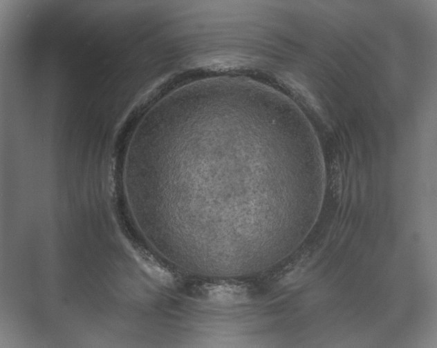 X0000073410400200608041004