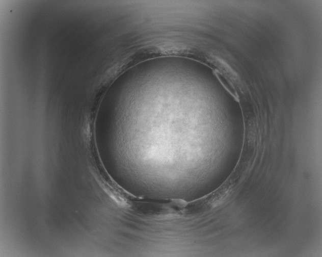 X0000073410405200608041003