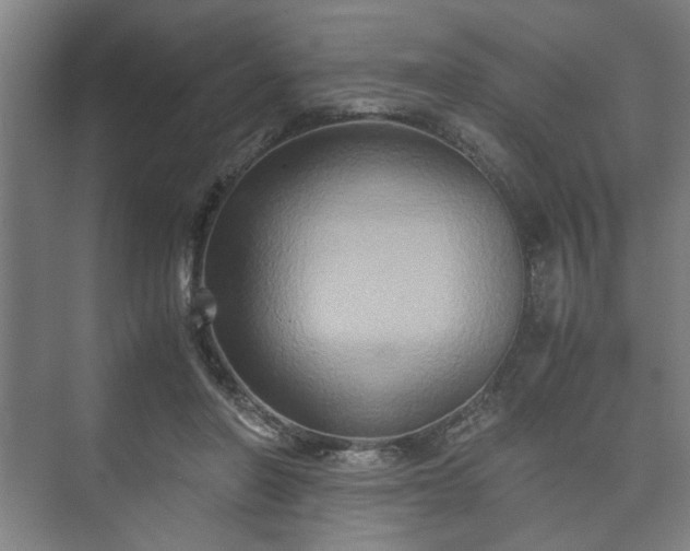 X0000073410406200608041003