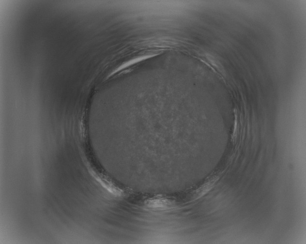 X0000073410408200608041003