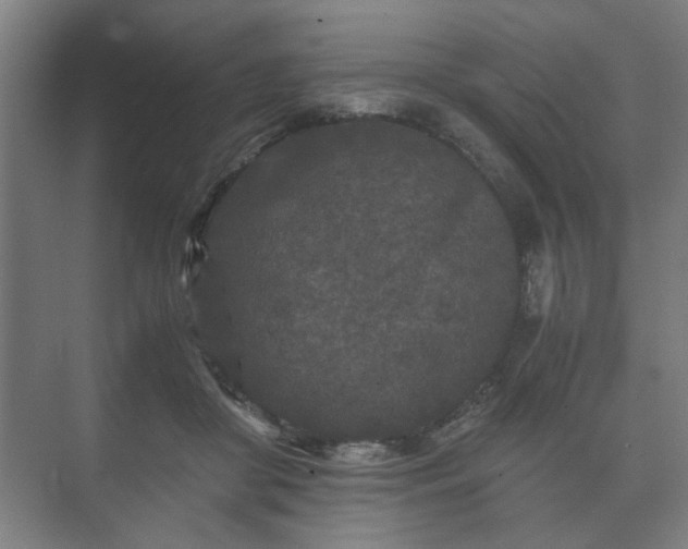 X0000073410410200608041003