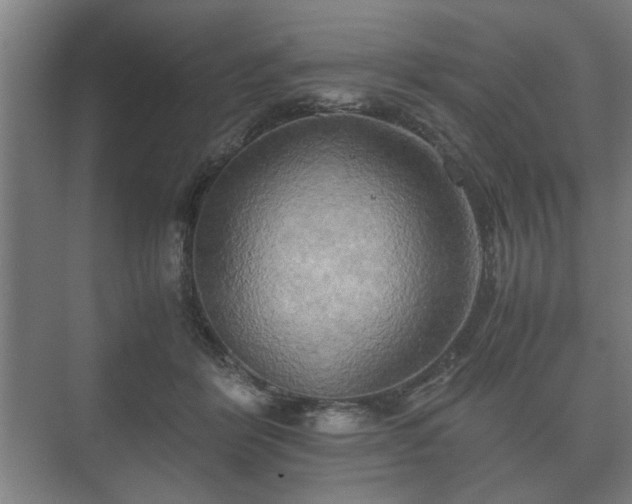 X0000073410412200608041003