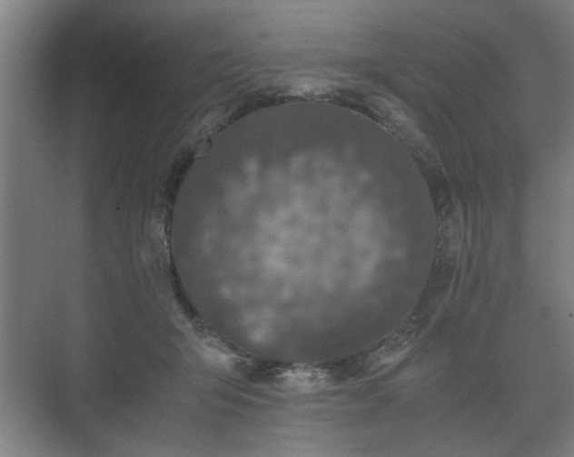 X0000073410415200608041003