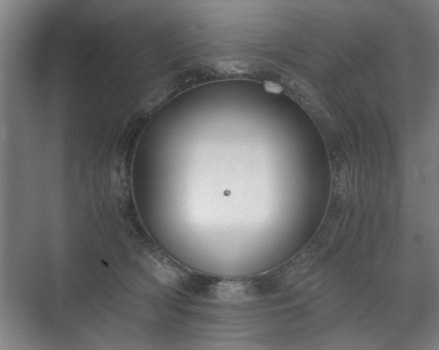 X0000073410418200608041003