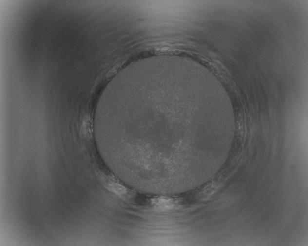 X0000073410419200608041003