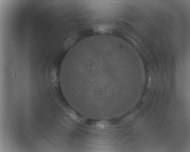 X0000073410420200608041003