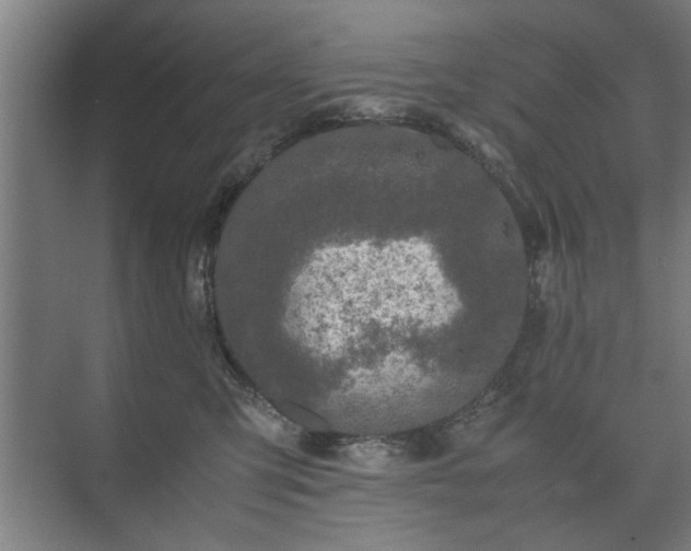 X0000073410423200608041003