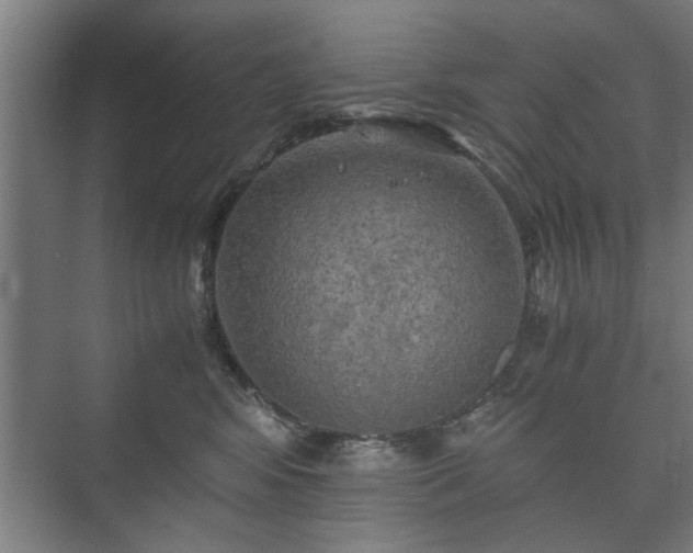 X0000073410424200608041003