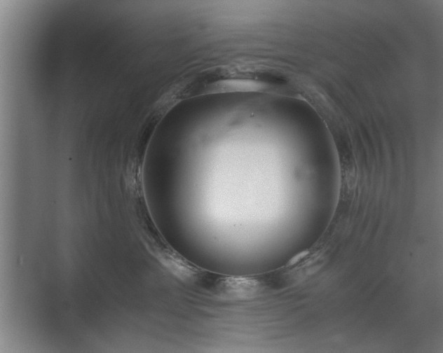 X0000073410429200608041003