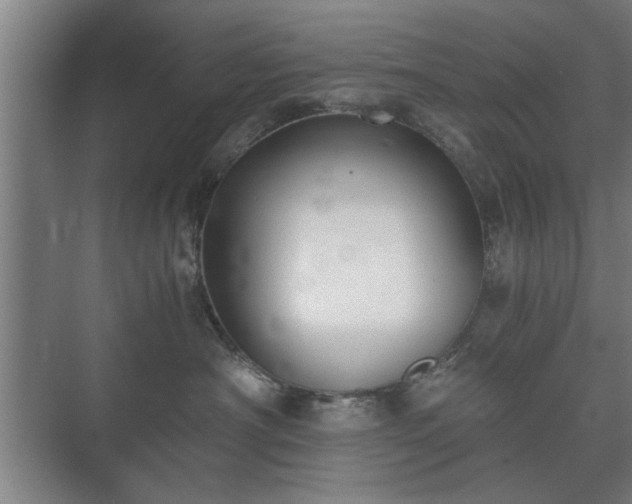 X0000073410430200608041003