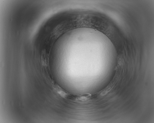 X0000073410431200608041003