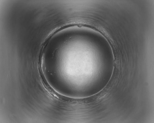 X0000073410434200608041002