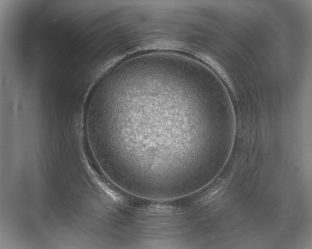 X0000073410437200608041002