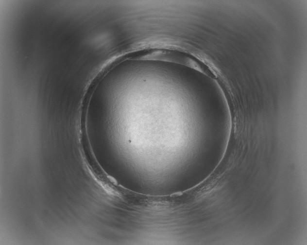 X0000073410438200608041002