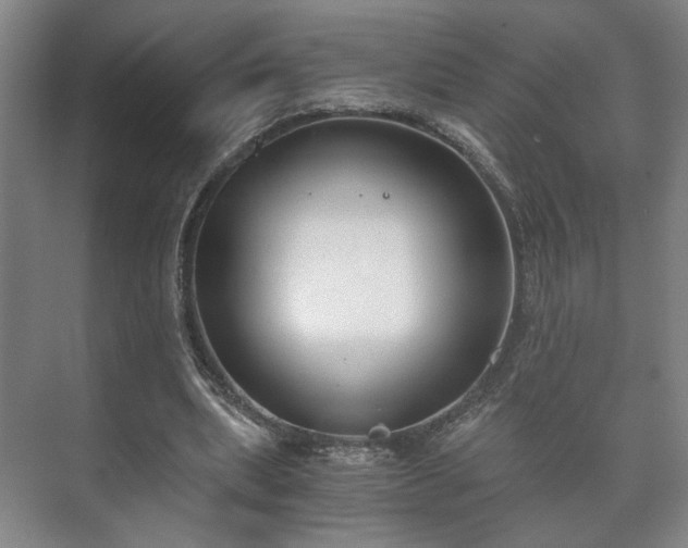 X0000073410439200608041002