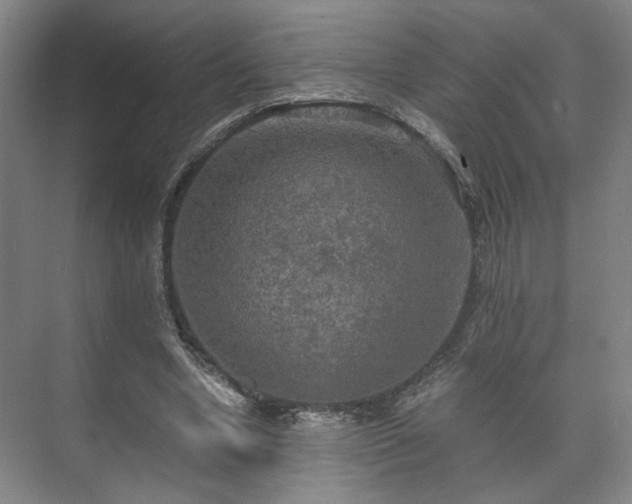 X0000073410442200608041002