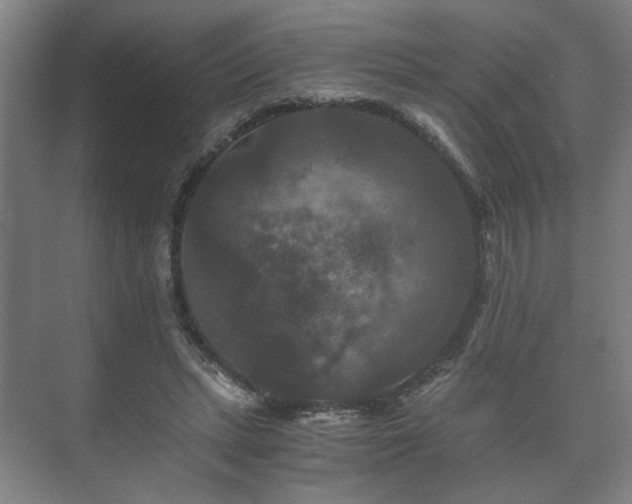 X0000073410447200608041002