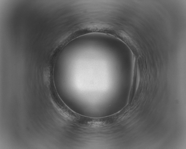 X0000073410448200608041002