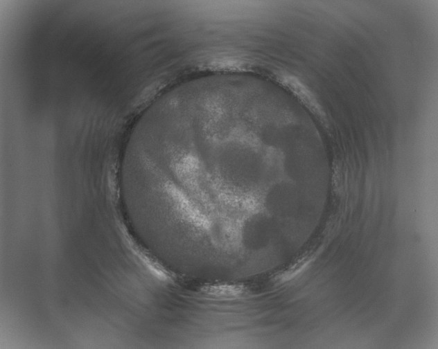 X0000073410449200608041002