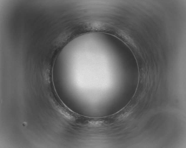 X0000073410450200608041002