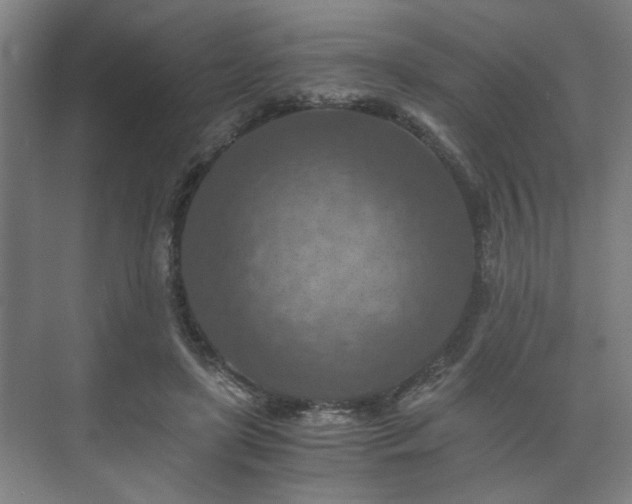 X0000073410451200608041003