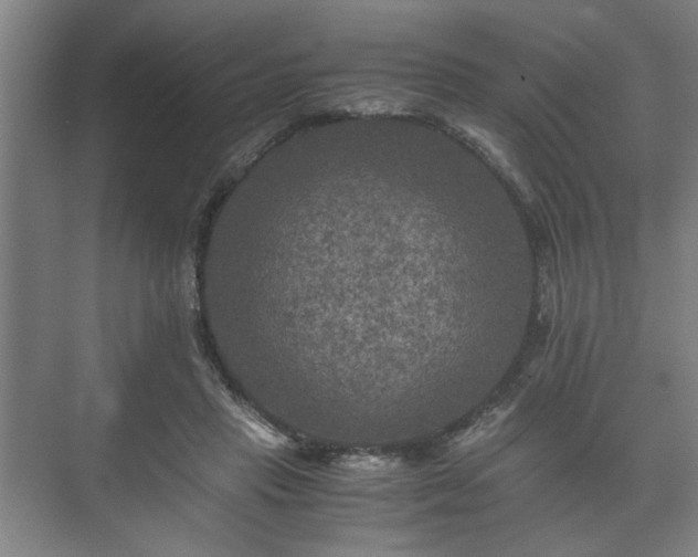 X0000073410453200608041003