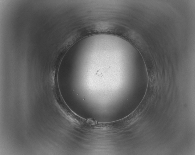 X0000073410454200608041003