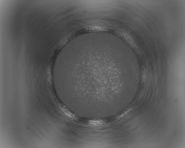 X0000073410457200608041003