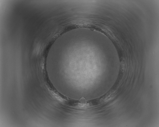 X0000073410458200608041003