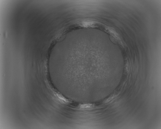 X0000073410461200608041003