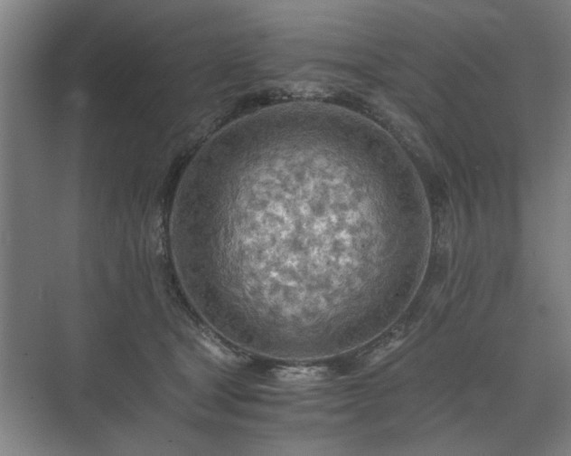 X0000073410465200608041003