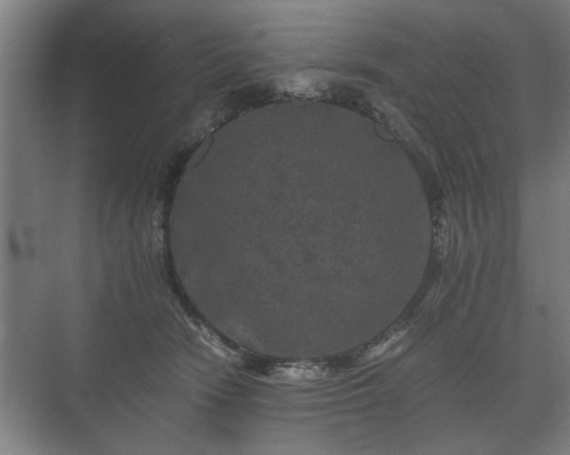 X0000073410466200608041003