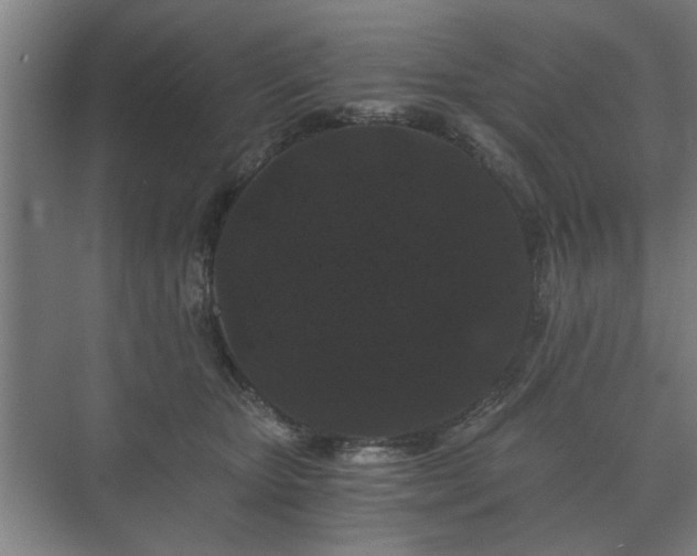 X0000073410467200608041003