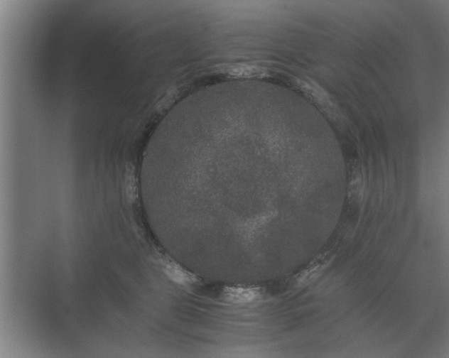 X0000073410469200608041003