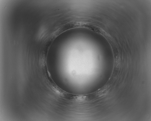 X0000073410474200608041003