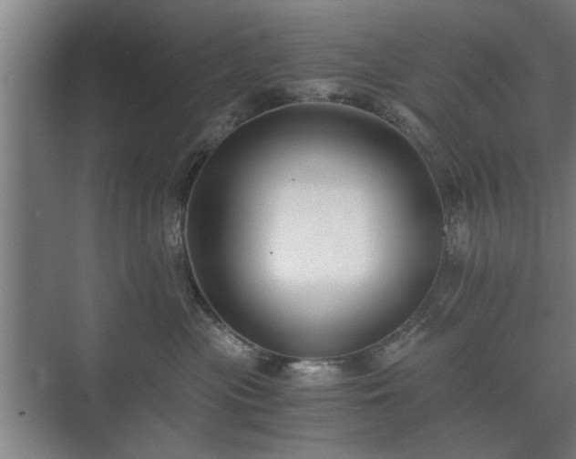 X0000073410477200608041003