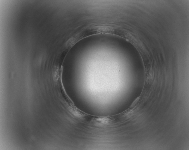 X0000073410478200608041003