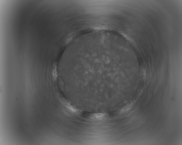 X0000073410479200608041003