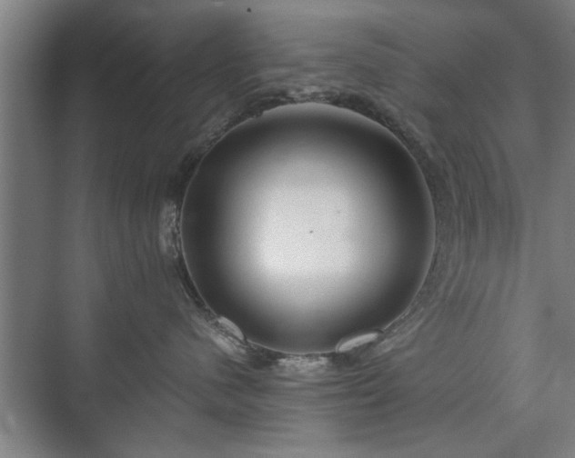 X0000073410480200608041003