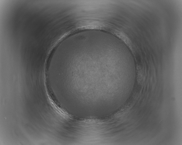 X0000073410482200608041002