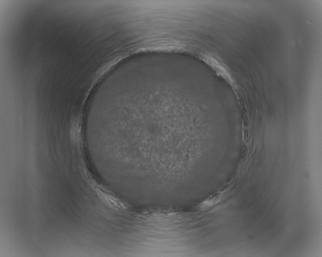 X0000073410483200608041002