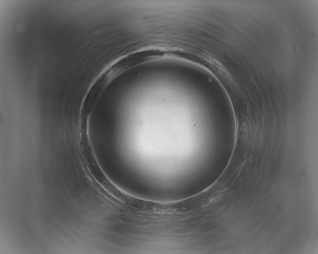 X0000073410484200608041002