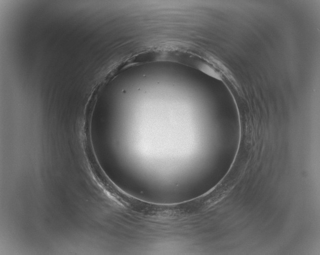 X0000073410485200608041002