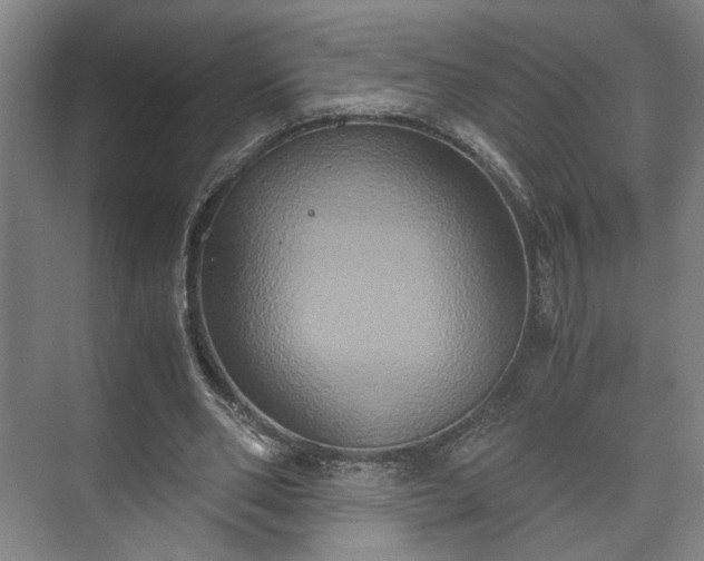 X0000073410486200608041002