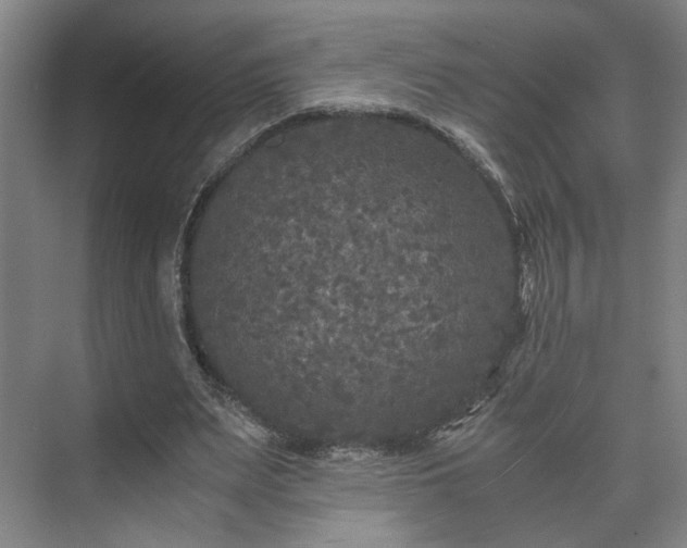 X0000073410487200608041002